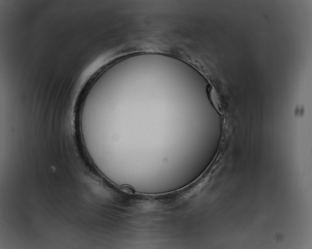 X0000102260246200808081408