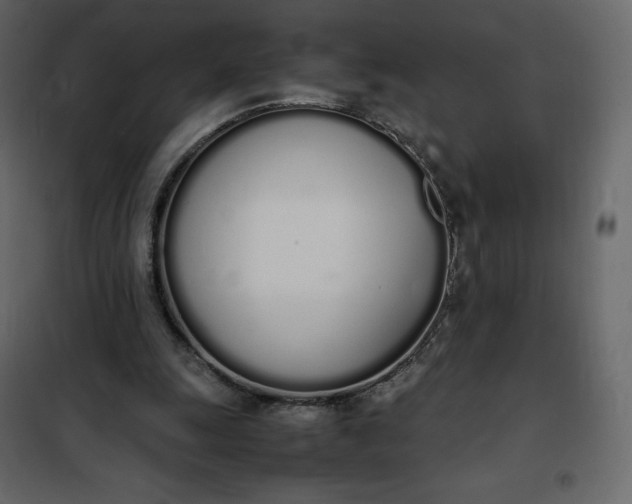 X0000102260247200808081408