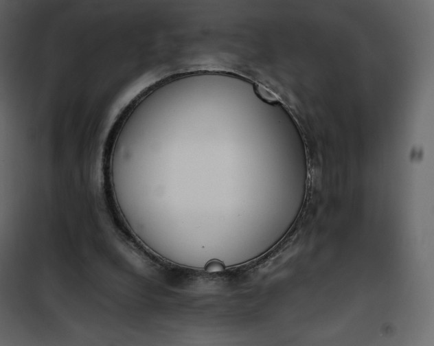 X0000102260248200808081408