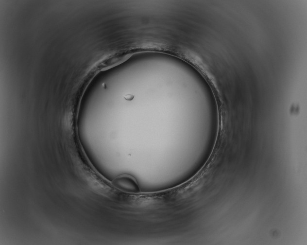 X0000102260249200808081408