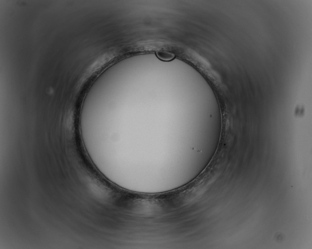 X0000102260250200808081408