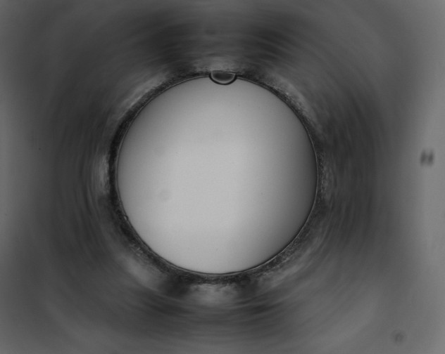 X0000102260251200808081408