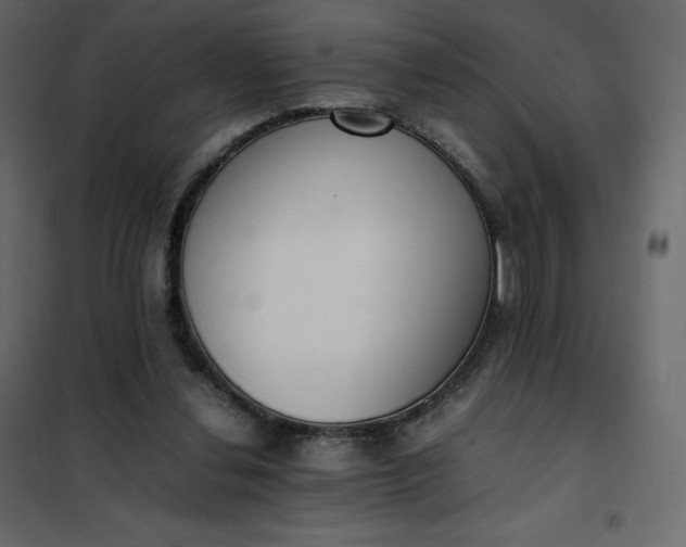 X0000102260252200808081408