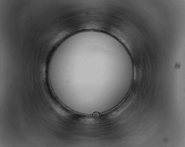 X0000102260253200808081408