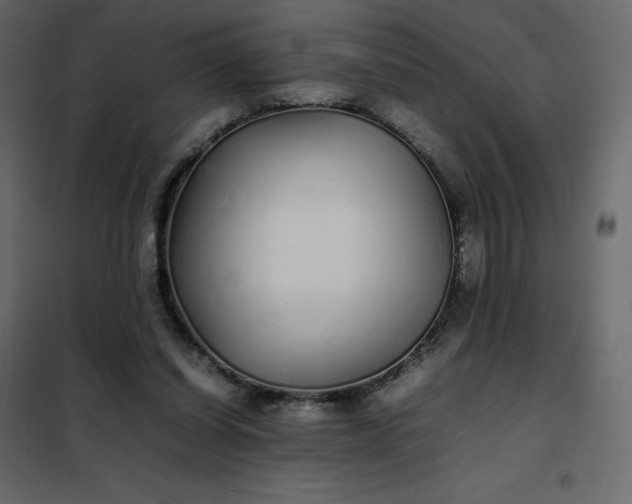 X0000102260254200808081408