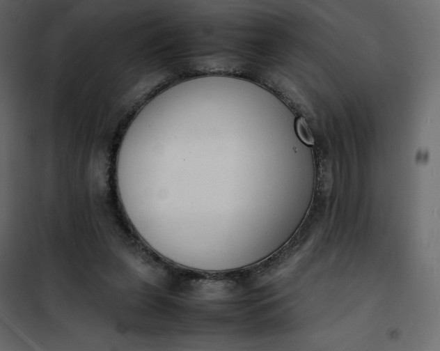 X0000102260255200808081408