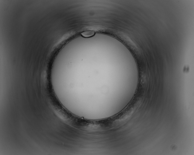 X0000102260256200808081408