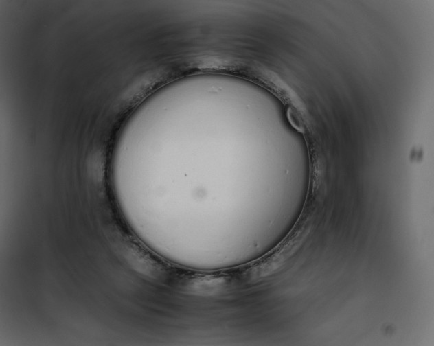 X0000102260257200808081408