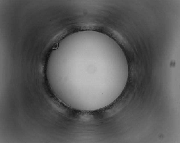 X0000102260258200808081408