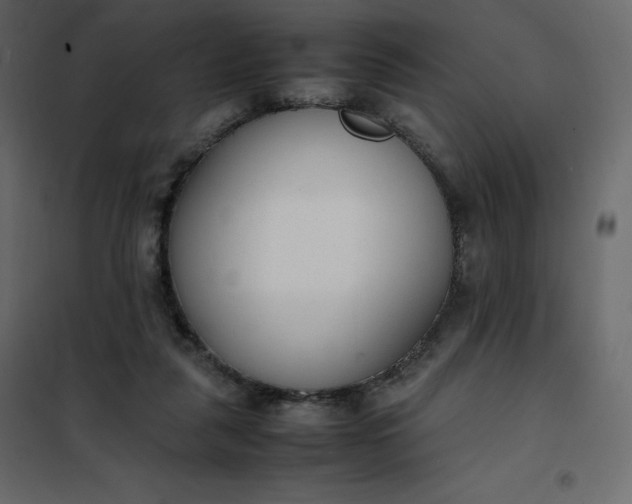 X0000102260259200808081408