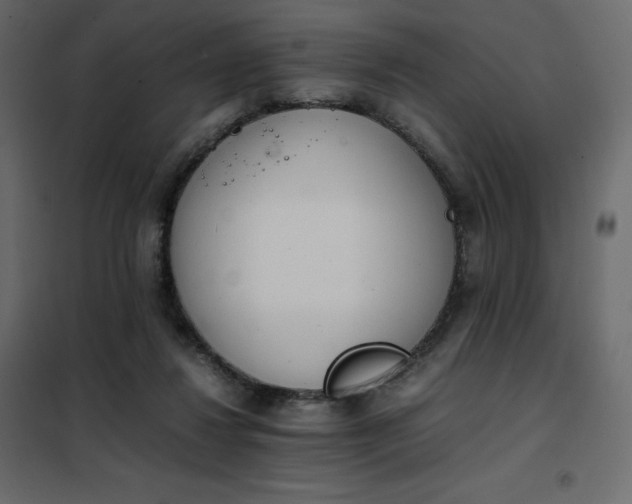 X0000102260260200808081408