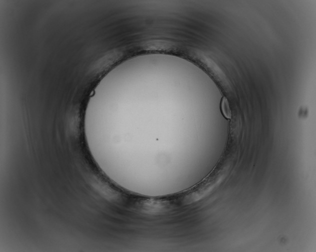 X0000102260261200808081408