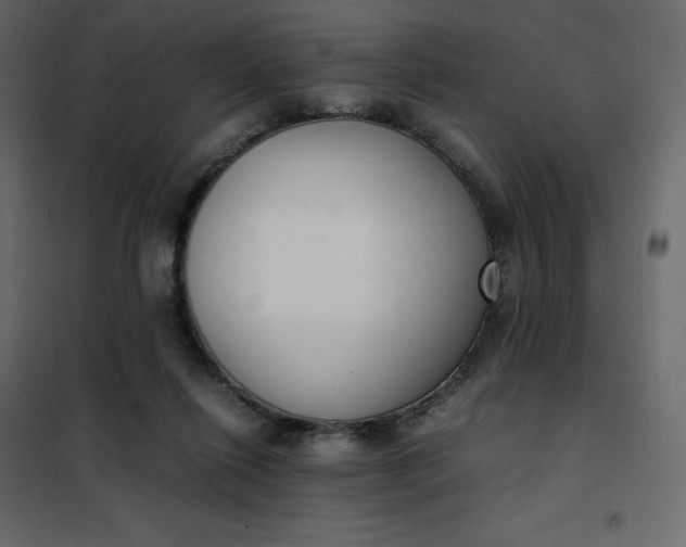 X0000102260262200808081409