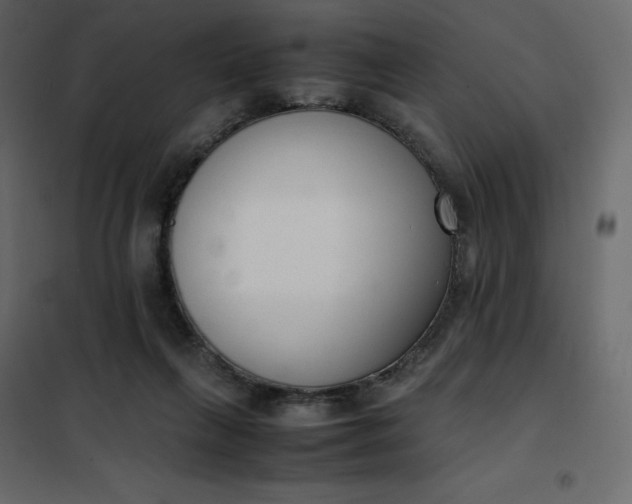 X0000102260263200808081409