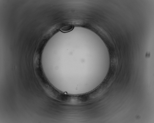 X0000102260264200808081409