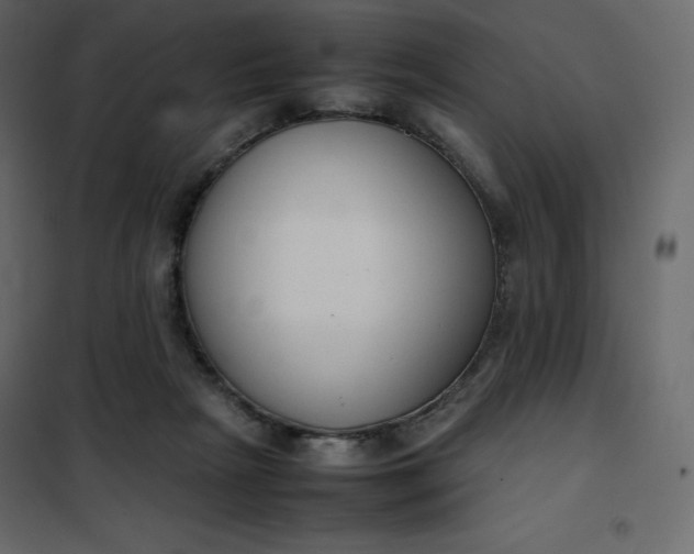 X0000102260265200808081409