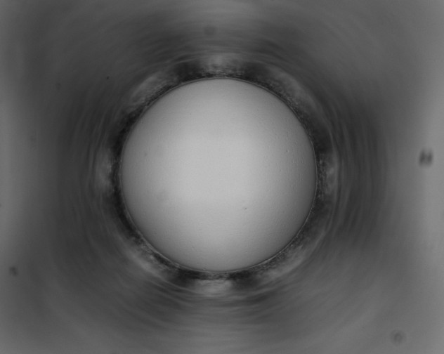 X0000102260266200808081409