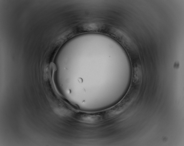 X0000102260267200808081409