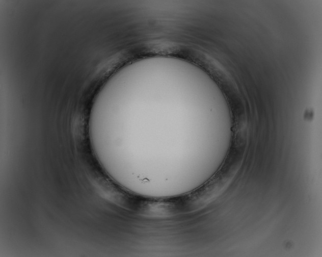 X0000102260268200808081409