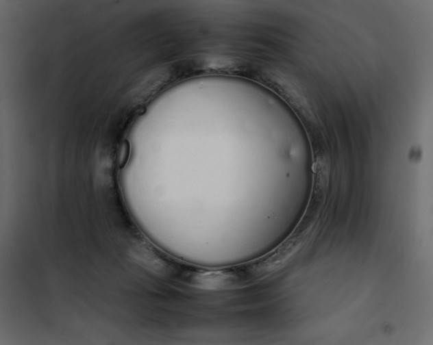 X0000102260269200808081409