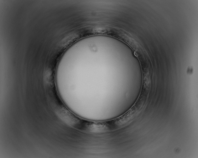 X0000102260270200808081409