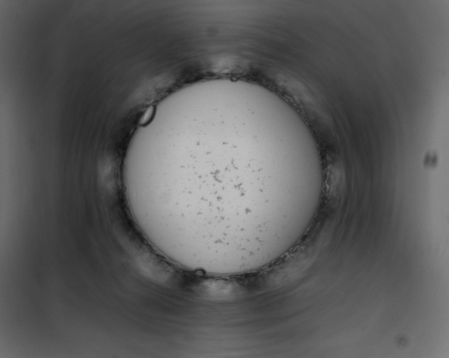 X0000102260272200808081409