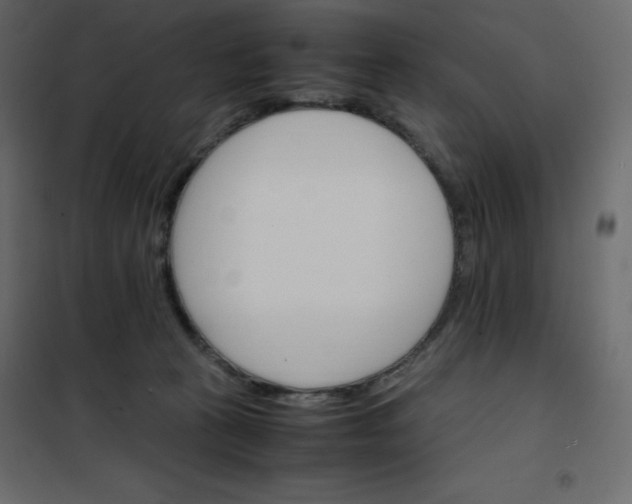 X0000102260273200808081409