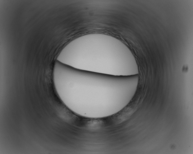 X0000102260274200808081409