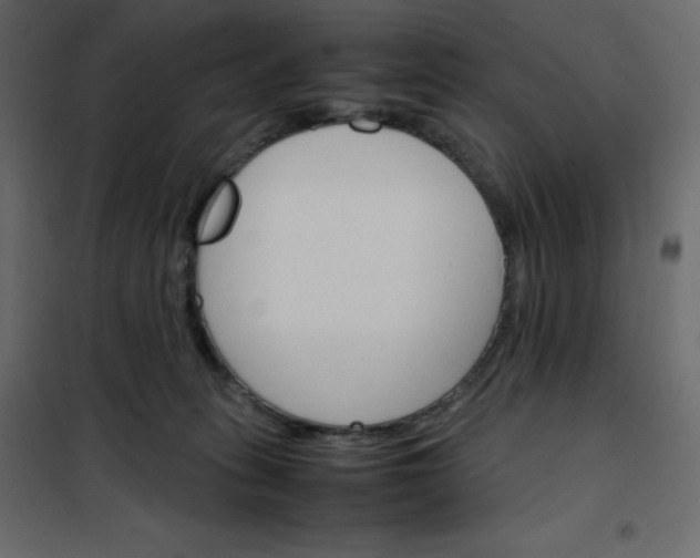 X0000102260275200808081409