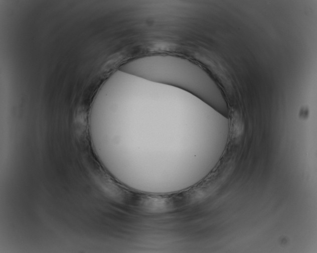 X0000102260276200808081409