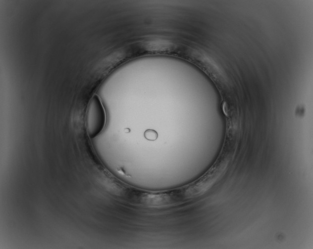 X0000102260277200808081409