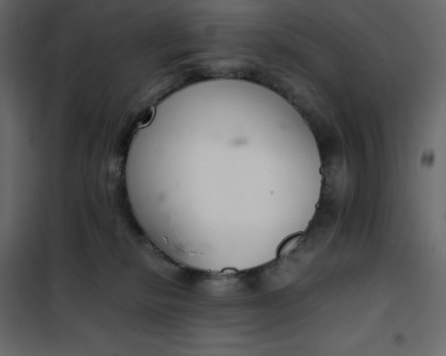 X0000102260278200808081409