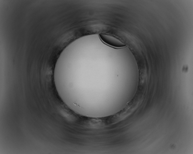 X0000102260279200808081409