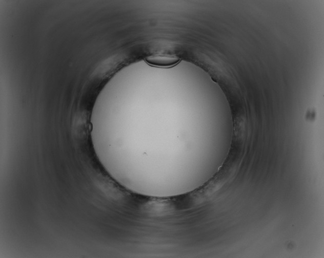 X0000102260280200808081409