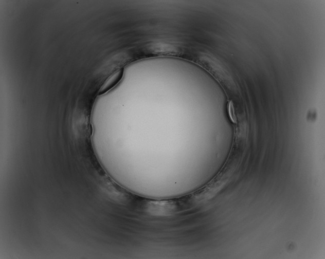 X0000102260281200808081409