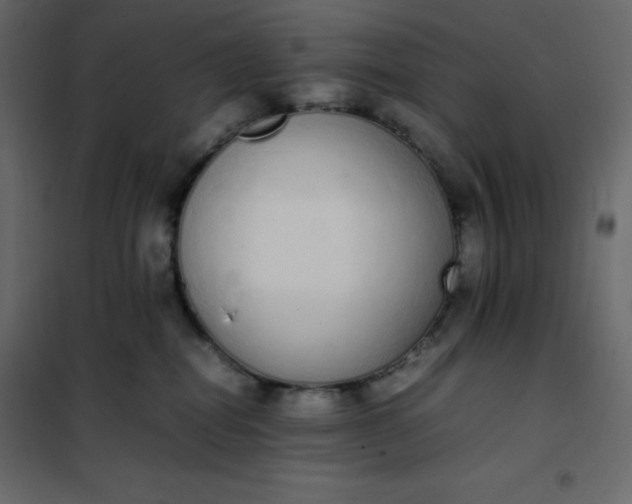 X0000102260282200808081409