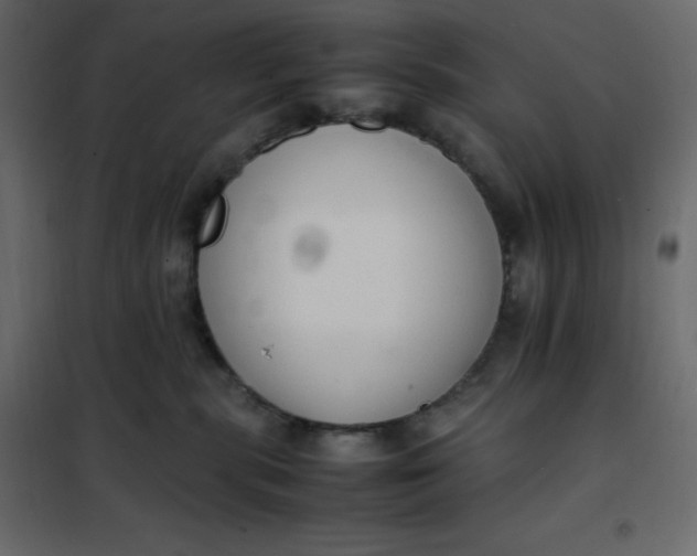 X0000102260283200808081409