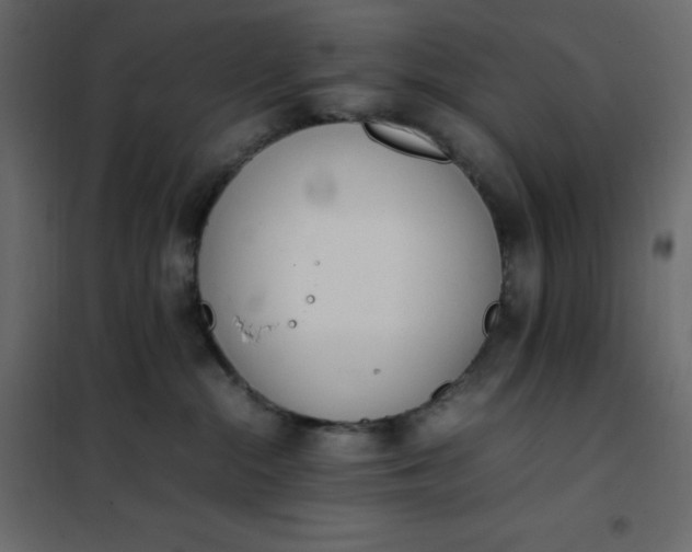 X0000102260284200808081409