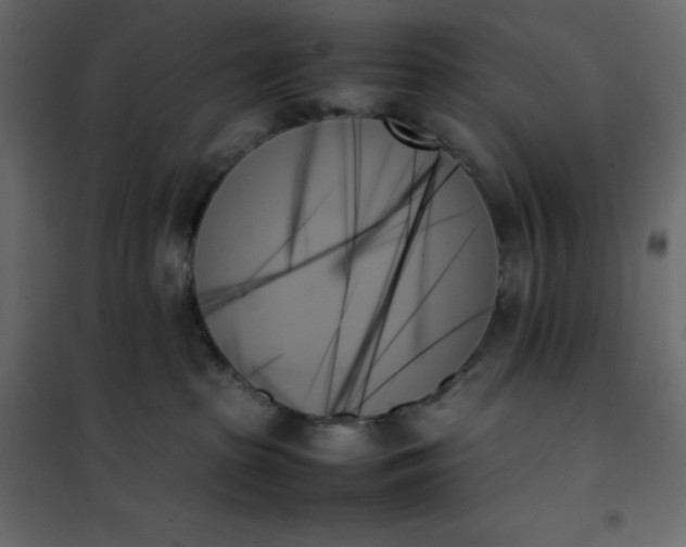 X0000102260285200808081409