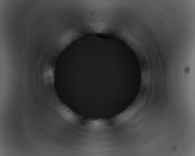 X0000102260286200808081409