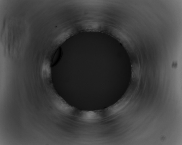 X0000102260287200808081409