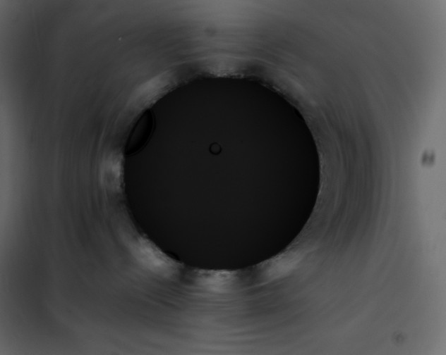 X0000102260288200808081409