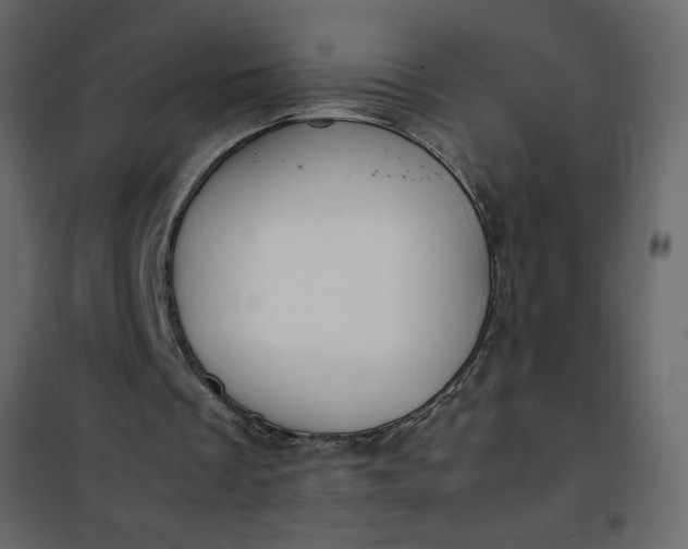 X0000102260289200808081408