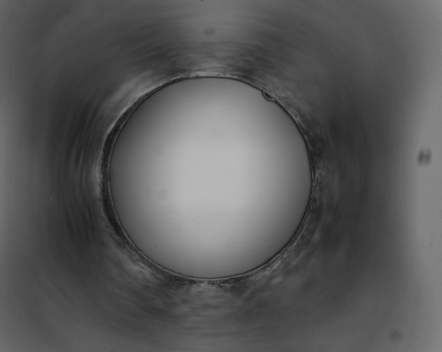 X0000102260290200808081408