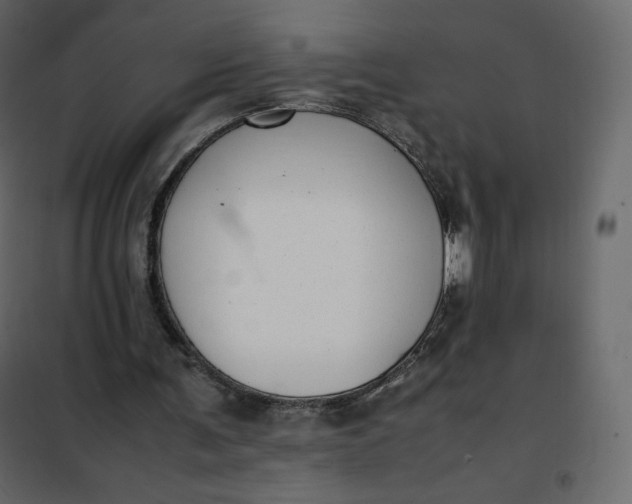 X0000102260291200808081408