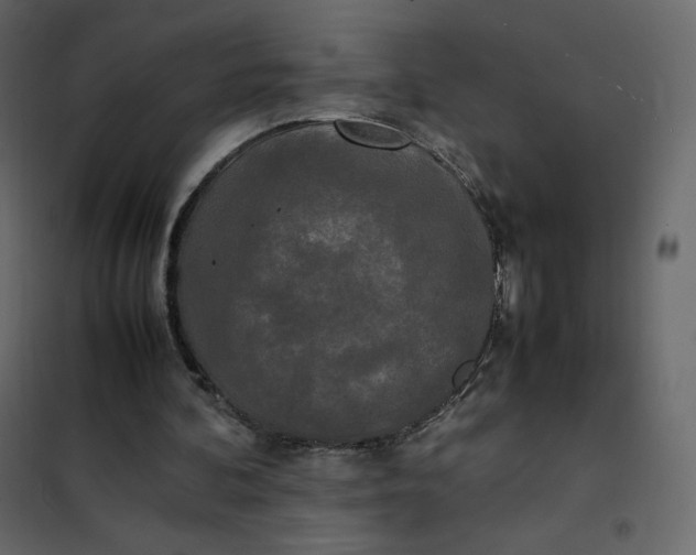 X0000102260292200808081408