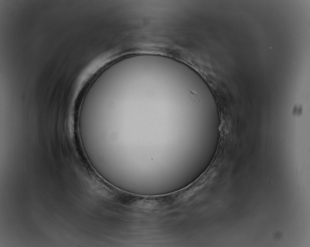 X0000102260294200808081408