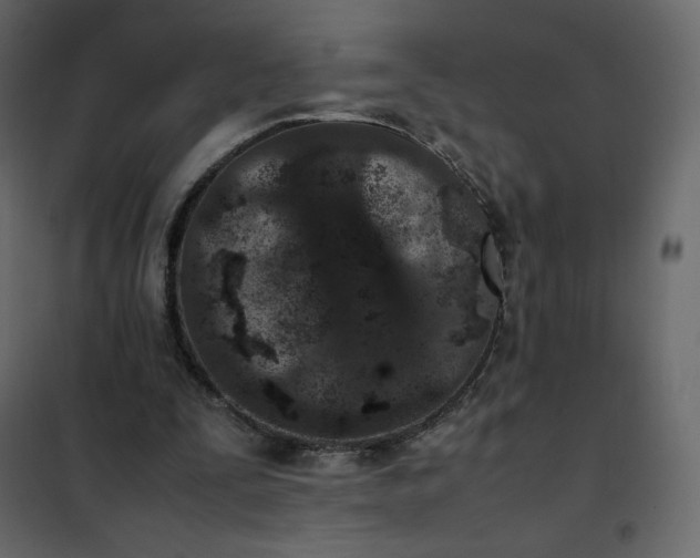 X0000102260295200808081408