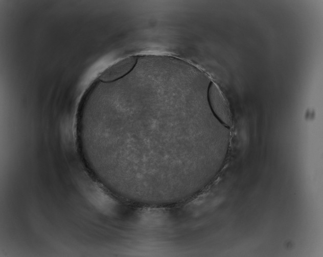 X0000102260296200808081408