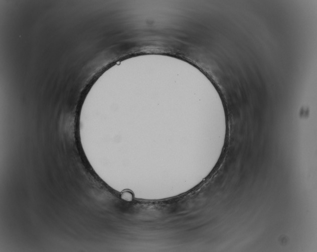 X0000102260297200808081408